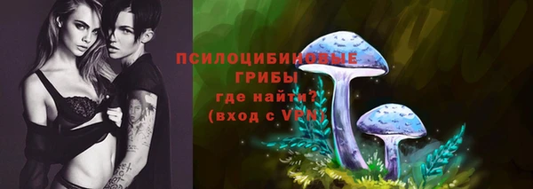 крисы Арсеньев