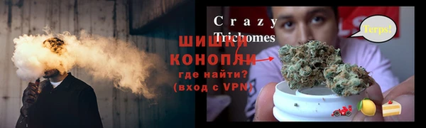 крисы Арсеньев